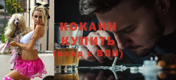 метадон Снежногорск